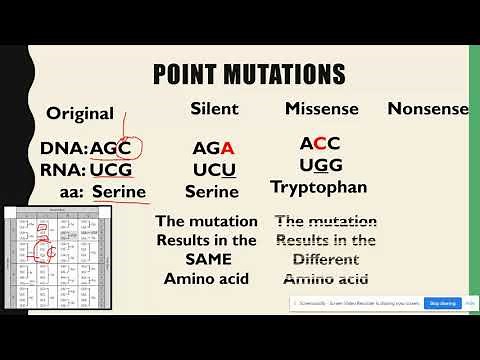Substitution & Frameshift Mutations AP Biology Topic 6.7