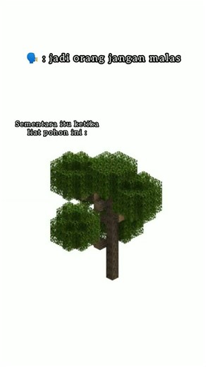 meme minecraft #shorts