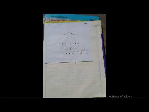 Class 10th Physics Practical Notebook Full with Observations and Results