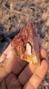 94K views · 2K reactions | Watch til the end to see the clean up on this beautiful quartz cluster from the Colorado Rockies ⛏️ #colorado #crystals #gems #quartz #coloradogemshop #minerals #fossils #geology #rockhounding #prospecting #outdoors #explore #hikingadventure #hiking #spring | Colorado Geology | Facebook