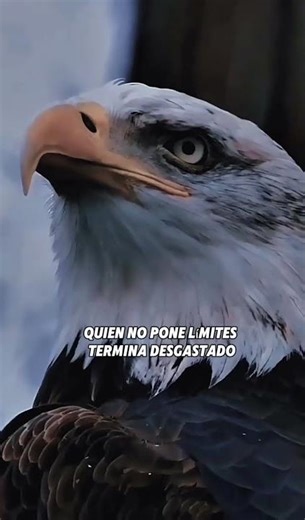 Reflection #youtubeshorts #shorts #reflectionsoftheday #quotes #motivate #reflection #advice #life