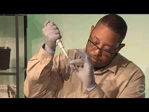 DNA Barcoding Techniques Refresher (Recorded Webinar)