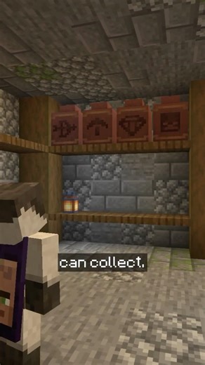 How To Get EVERY Pottery Sherd In Minecraft - (Part 1)