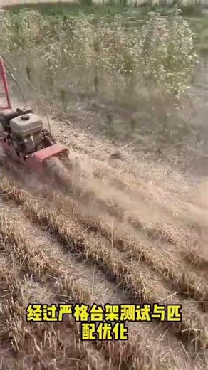 Micro-tillage weeding machine with multiple functions