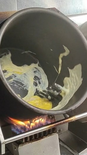 Innovatoin | Animals