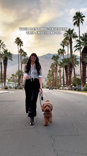 Add Palm Springs to your dog-friendly bucket list! 🌴 This is such a dog-friendly city and we’re not gatekeeping anything. 📌 Save this video for all the dog-friendly things to do when you visit. WHAT TO DO IN PALM SPRINGS Moorten Botanical Garden // $5 entry fee Explore Indian Canyons Palm Springs mural at the Visitor Center Spend a day at Joshua Tree NP Stay in the desert at Mesa Tavira Walk the Butler Abrams Trail Shop downtown & hunt for art Enjoy the unique art at East Jesus & Salvation Mou