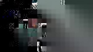 A large mako shark leaps into a fishing vessel off the coast of Maine.😲 https://kptv.tv/3eTutQC | FOX 12 Oregon