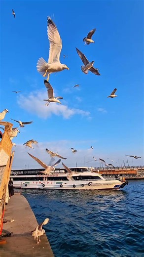 Exploring Istanbul: A Journey Through Life and Culture