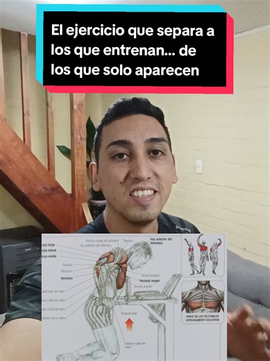 Dips en paralelas, El ejercicio que separa a los que entrenan… de los que solo aparecen. #dips #workout #gymtok #gym #fitness