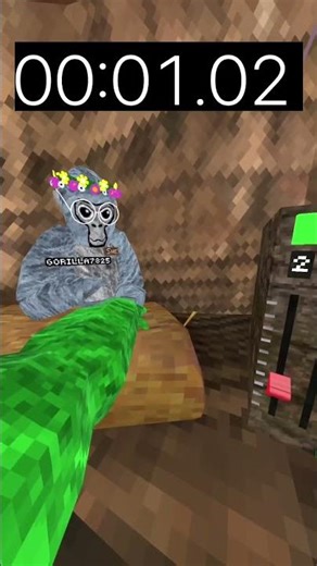 CAN I GUESS HIS COLOR CODE #gorillatag #gorillatagquest #vr #gtag #greengorilla #gorillatagvr