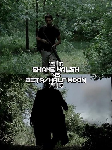 Shane Walsh vs Beta