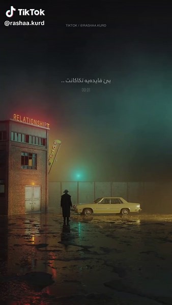 Navid Zardi: Dnyam Krd - Beyan Bash