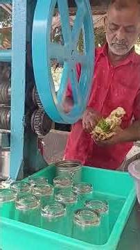Pure Tamil Nadu Sugarcane Juice! 🥤🌿 #KarumbuJuice