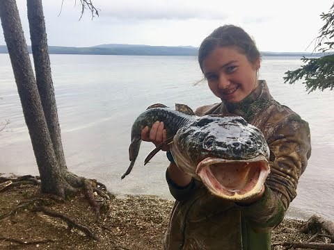 Hunting Fishing Loving Everyday: Living the Song - Moose Hunting, Fishing Rainbow Trout and Ling Cod