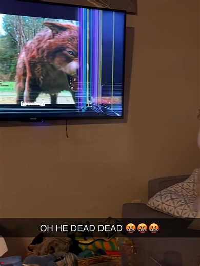 Dogs Watching TV: Hilarious Reactions and Pranks