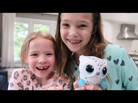 Owleez & TIC TAC TOY! All About our NEW Baby Owl Flying Toy!