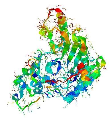Définition | Créatine kinase : qu'est-ce que c'est ? | Futura santé