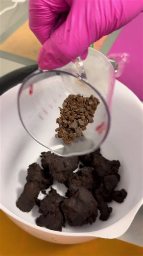 The flavor everyone waits for 💚 Thin Mint cake pops made with real Girl Scout Thin Mints — while they last 🍃🍫 #GirlScoutSeason #MintChocolate #FanFavoriteFlavor #LimitedTimeFlavor #NostalgicTreats