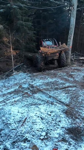 47K views · 1K reactions | Logger work 漢量蝹 . . .​ #loaderman559 #woodwork #loggers #woodworking #workhardplayhard #forestry #blackandwhite #hardwork #trees #tbt #hilights #tbt #logging #usa #oldschool #history #logginglife #logger #stihl8661 #historicalphotos #thenandnow #conservation #foodforthought #industrialrevolution #tbt #heritage #americana #oldwest #PioneerSpirit | Sander Young | Facebook