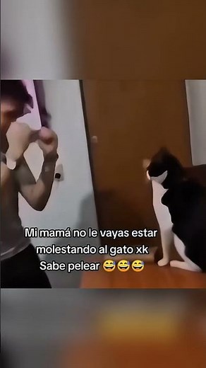 Videos graciosos imposible no reírse 😂 | si te ríes pierdes #funnyclips #dyinglight #viral #memes