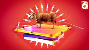 35 reactions · 11 shares | Eid Ul Azha Mubarak To All Of You From Channel 6 . | Channel 6 | Facebook