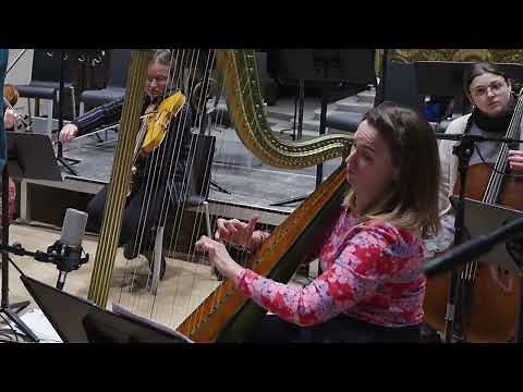 MOZART // 'Concerto for Flute and Harp in C Major, KV 299: II. Andantino' by Anna Besson