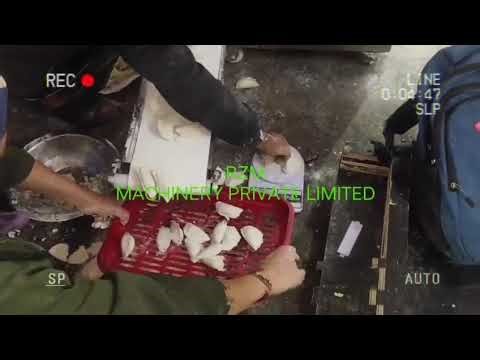 BLS 150 DUMPLING MAKING MACHINE #foodmachine