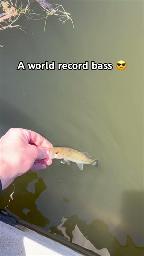 World record Bass