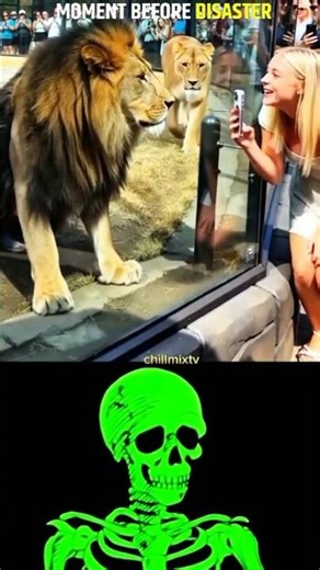 "When the Lioness Gets Mad, Even the Lion Is in Trouble!" 🦁😱🔥