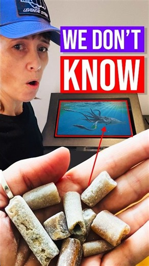 How do we know what it looked like? We don't! #visualstorytelling #visualcommunication