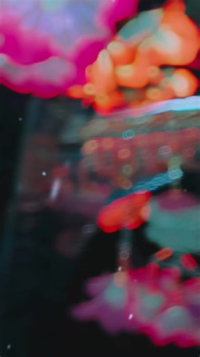 Adil (@adil996633)’s videos with Nawab Malkoo - Malkoo Studio