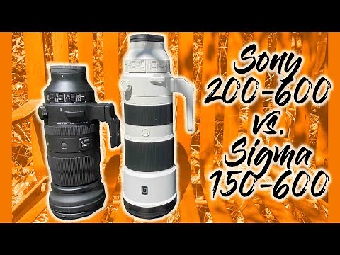 Sony 200-600 vs. Sigma 150-600