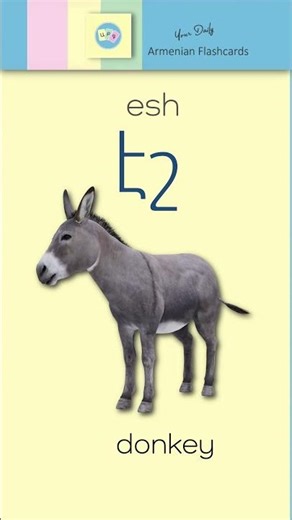 Է, է [ e ] Armenian Flashcards with Audio–էշ [ esh ] = Donkey | Learn to Pronounce