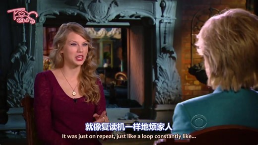 【TSCN】【中英字幕】《60分钟》电视节目访谈 (60 Minutes 2011.11.20)