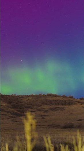 I can't believe I saw the northern lights in my back yard #colorado #northernlights