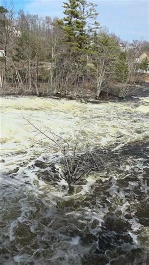 Springtime Freshet at Hillsborough Bridge: Nature's Annual Flow