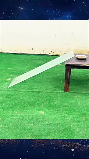 Test Your Dog's IQ with Fun Activities