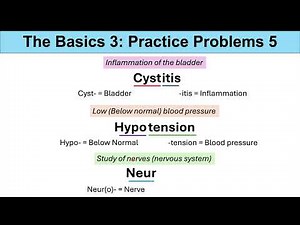 Medical Terminology – The Basics – Lesson 1 & 2 | Practice Problems Set 3