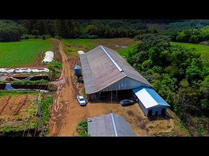 44 COWS PRODUCING 88 POUNDS OF MILK/DAY: WHAT THIS BRAZILIAN FAMILY DID THAT CHANGED EVERYTHING 🇧🇷