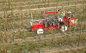 Robotic picking machine's first apple harvest underway: Video - Good Fruit Grower