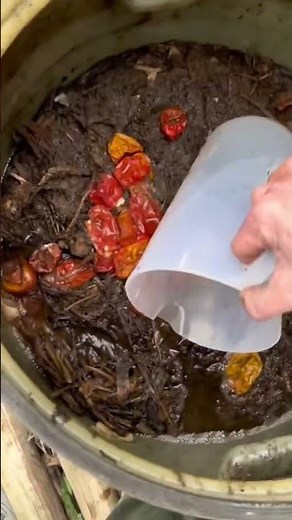 Turn Charcoal into BIOCHAR by Doing THIS!! #biochar #gardeningtips #naturalfertilizer