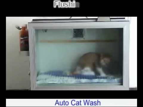 AUTO Cat Washer.wmv