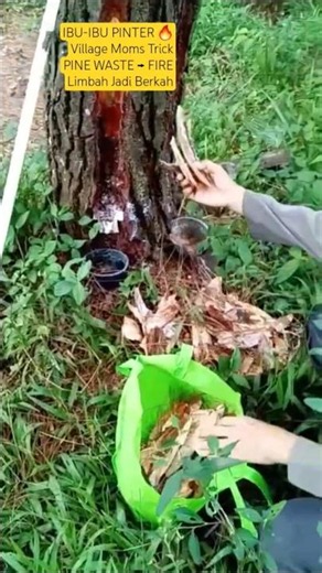 Village Moms Trick 🔥 Pine Waste to Fire Starter.