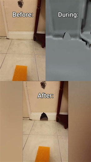 Watch my mouse's reaction to cheese (Behind The Scenes) #cute #pets #shorts
