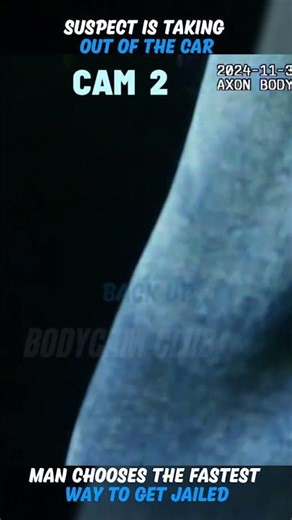 He Was INNOCENT Until He Hit The Cop With His Car Door