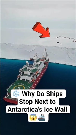 ❄️ Why Do Ships Stop Next to Antarctica's Ice Wall? 😱🚢 #Shorts #facts #viral #shortvideo #shortsfeed