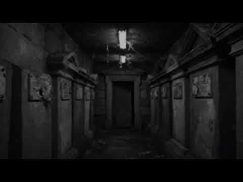 The Internet Hides Secrets You Should Never See | Dark & Forbidden Truths