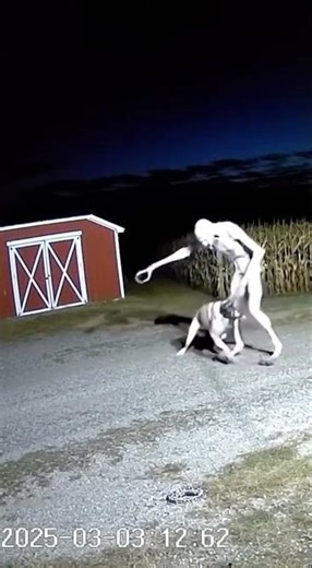 RECOVERED_FILE_0303 (Timestamp Anomaly)