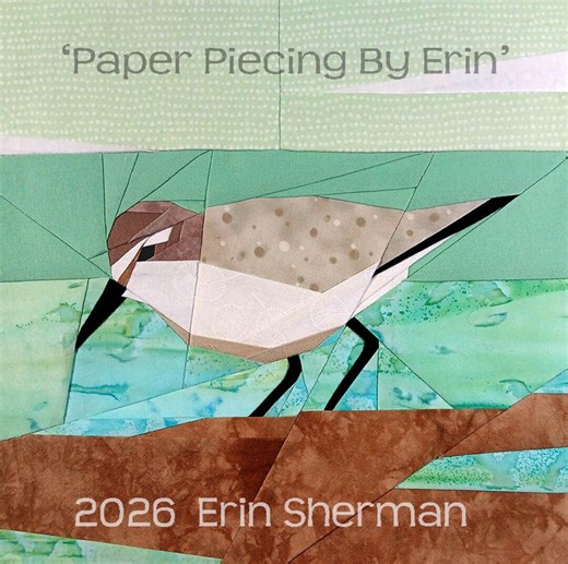 Sandpiper Beach Bird Paper Piecing Pattern - Etsy