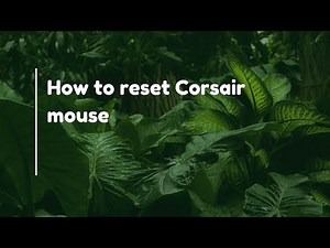 How to reset Corsair mouse